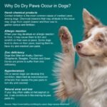 Healing Cream for Dogs with Dry, Irritated & Pele com coceira | Fast-Absorbing Pet Skin Relief | 2 onças - Image 10
